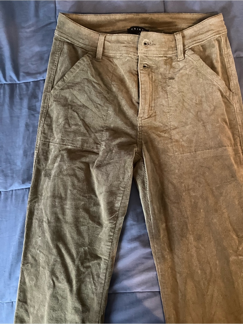 Tribal Men's Corduroy Pants in Olive